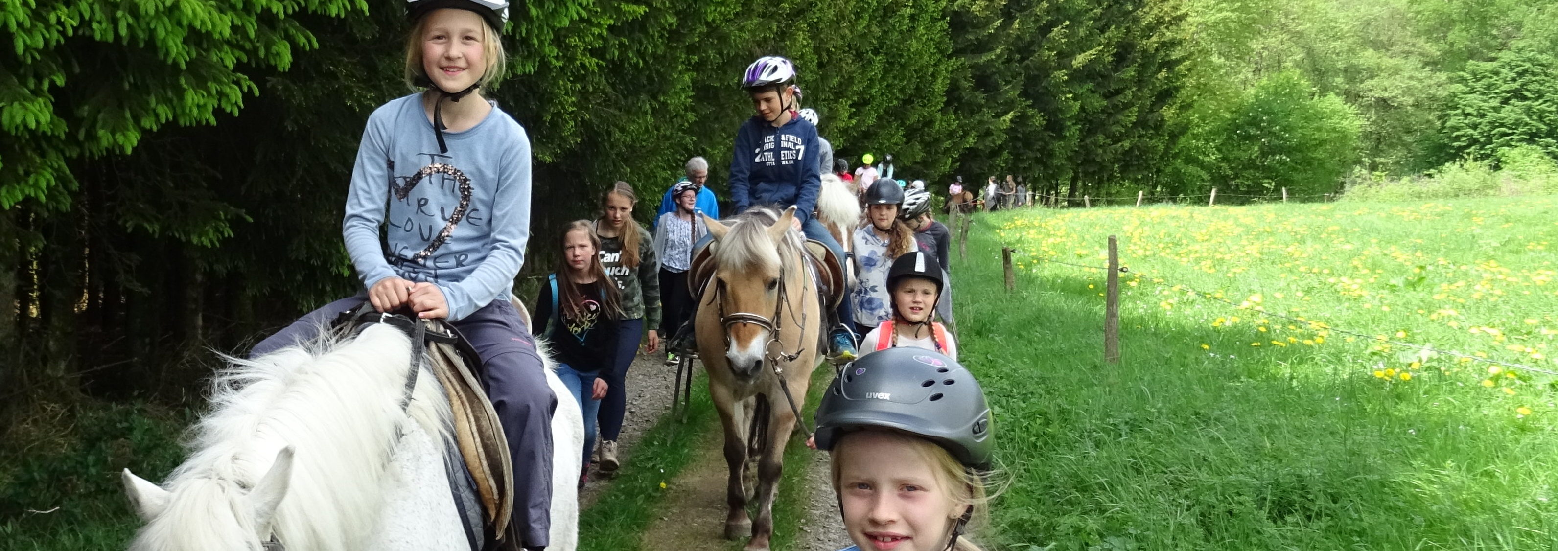 Reiten