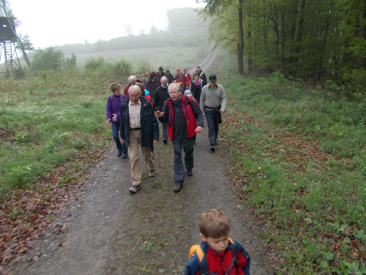 Maiwanderung 2014