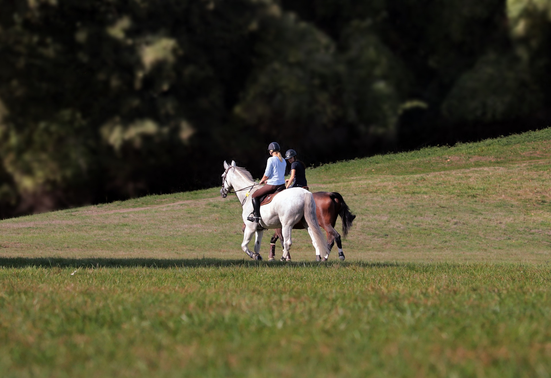 Reiten durch die Wälder für Kids