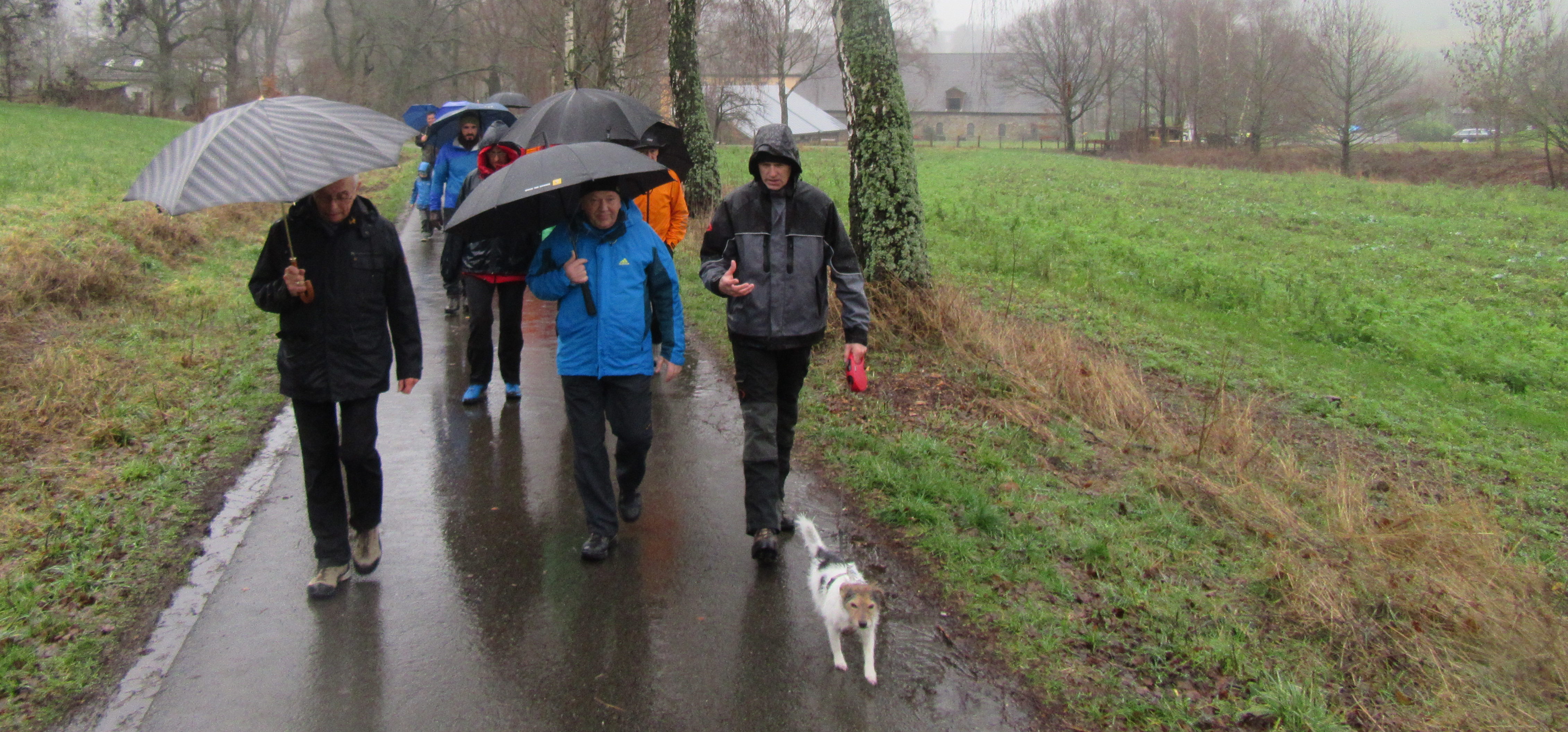 Winterwanderung – erste Wanderung im neuen Jahr