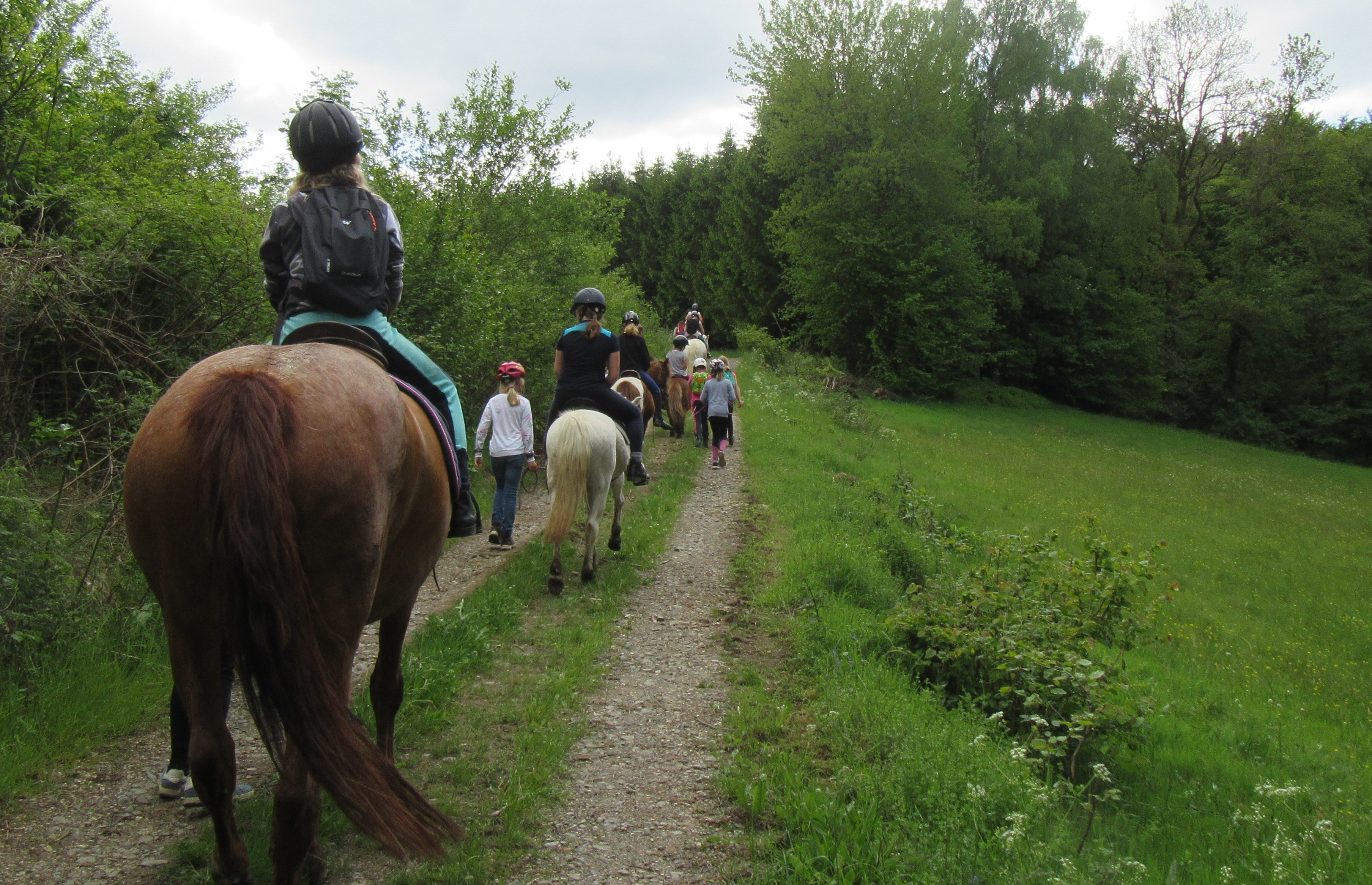 Reiten für Kids 2019