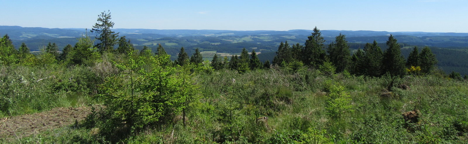 Kulinarische Wanderung Niedersorpe