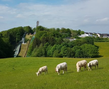 Mehrtageswanderung – von Meinerzhagen bis Wildewiese auf dem Höhenflug