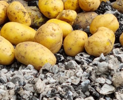 Herbstwanderung mit Kartoffelbraten 2023